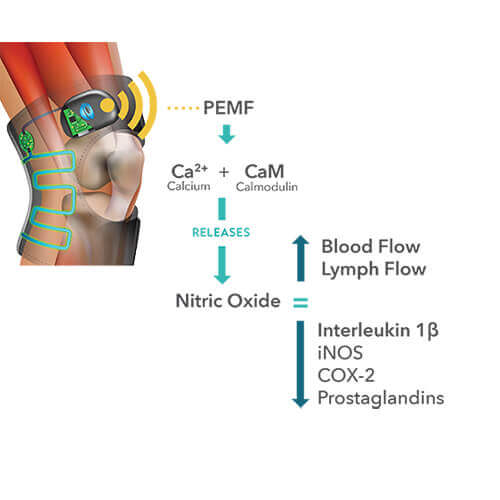 PEMF diagram